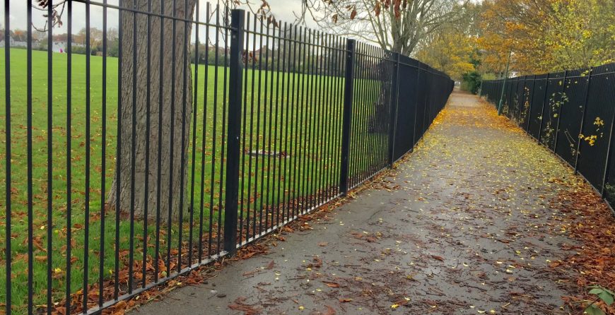 fence in garden