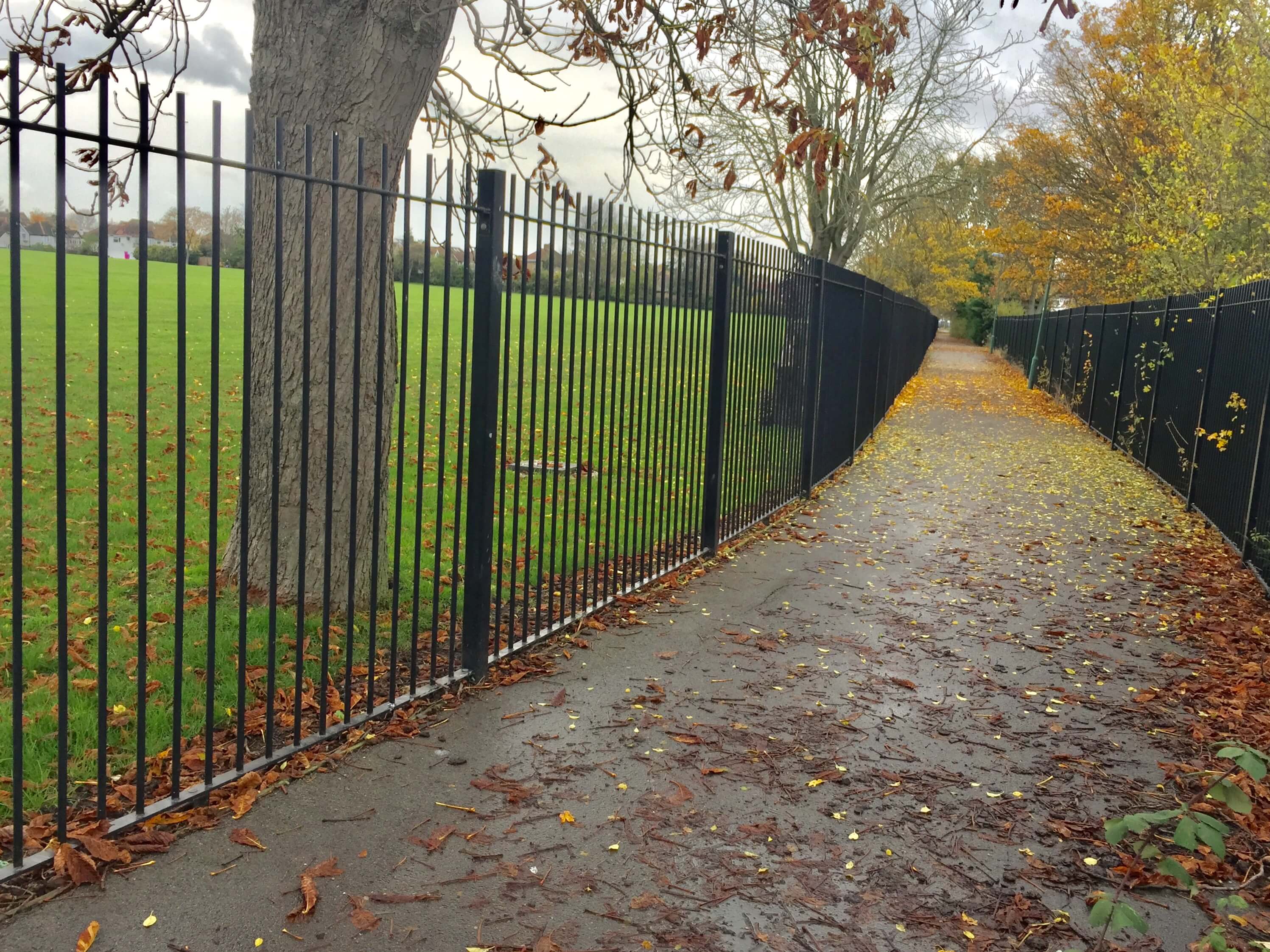 fence in garden
