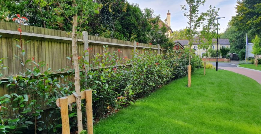 Fence for domestic purposes