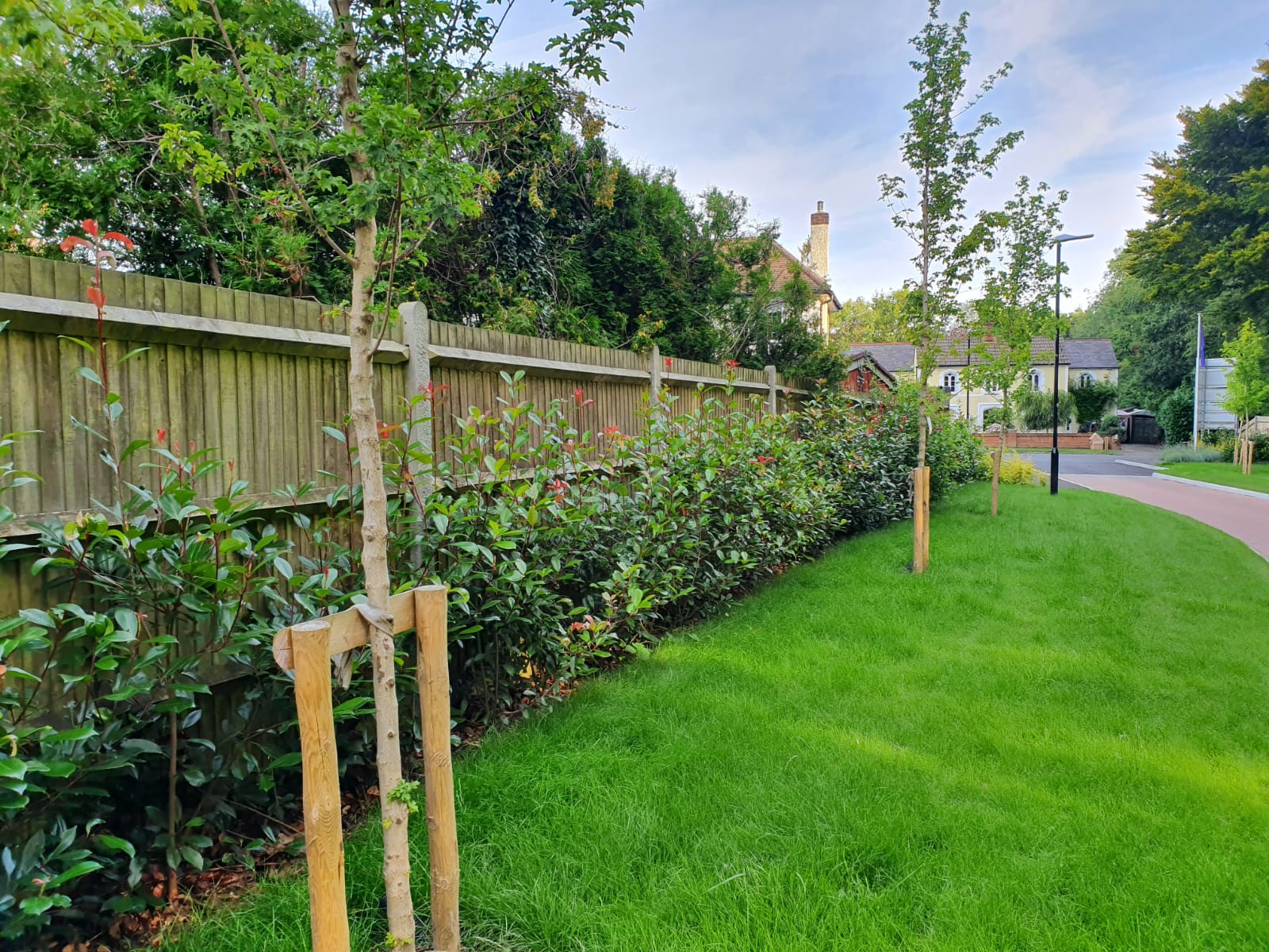 Fence for domestic purposes